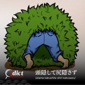 Những thành ngữ, tục ngữ tiếng Nhật có từ chỉ bộ phận trên khuôn mặt